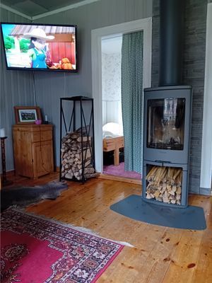 Kamin o ved.