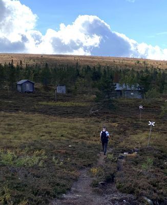 Fin vandring på Näsfjället från stugområdet till Lilldalsstugan