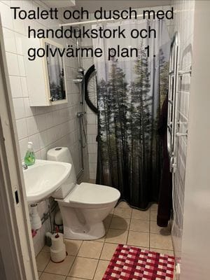 Bild 4 på Rymligt boende under skid-VM i Falun