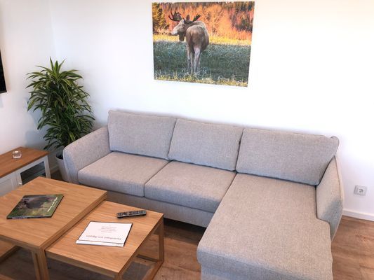 Semesterhuset vid Älgsjön "Stora älg" - Bild 36