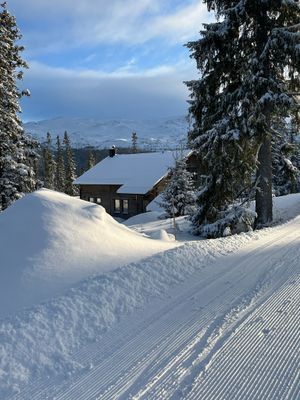 Ski in/out, 8 bäddar, Hovde, Bydalen - Bild 75
