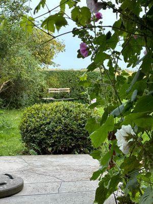 Utsikt från terrassdörren i köket