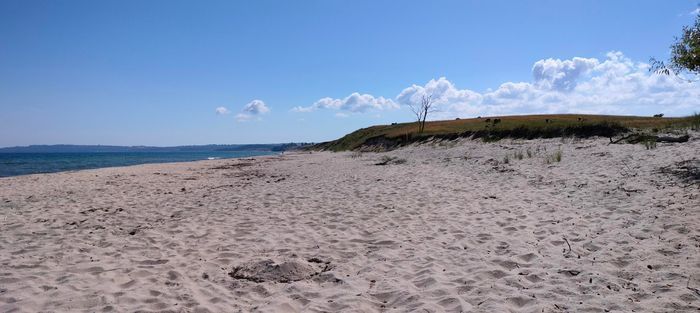 Brösarps Norra backar på Österlen - Bild 11