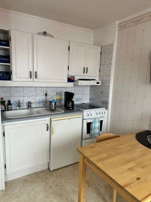 CENTRALT VASALOPPSBOENDE LITEN LÄGENHET