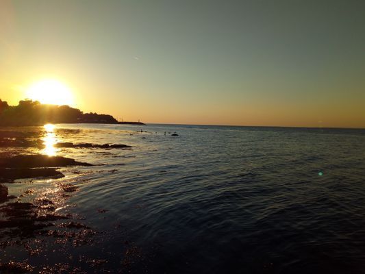 Bo på vår sparrisgård och upptäck Kullabygden! - Bild 11