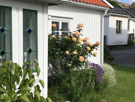 Bild 4 på Skärgårdsidyll nära Göteborg