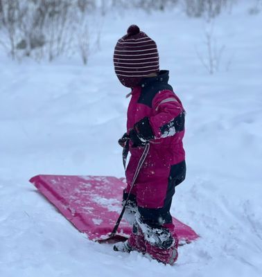 Traditionellt 1700-tals torp direkt på sjön - Bild 21