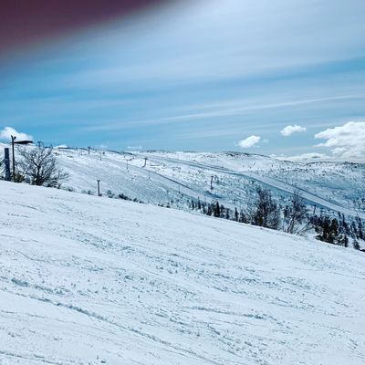 Björnrike, Vemdalen, Ski in/Ski out - Bild 16