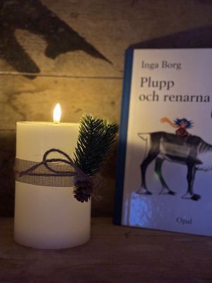 Trevlig stuga i lugnt område med härlig utsikt. - Bild 30