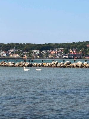 Rymlig gästbostad 3 sovrum vid havet och naturen - Bild 18