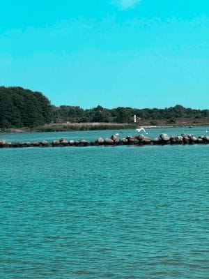 Rymlig gästbostad 3 sovrum vid havet och naturen - Bild 27