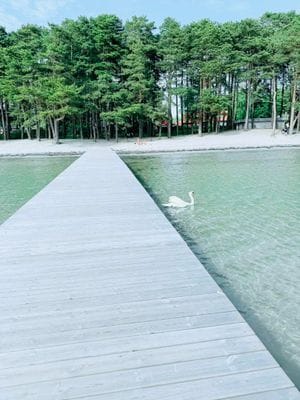 Rymlig gästbostad 3 sovrum vid havet och naturen
