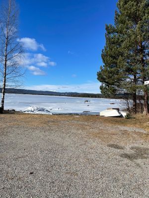 Bystugan