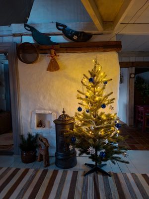 Mysigt litet hus på landet. - Bild 15