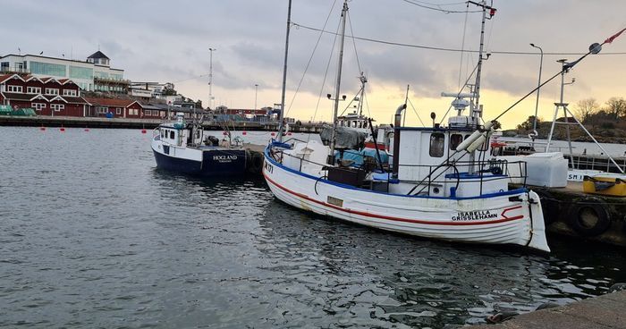 Fiskehamnen med bla https://grisslehamn.se/vischan-havsdeli/ och https://www.l8ihamnen.se/