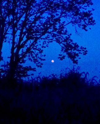 Österlen Norrekås Örnahusen- Huset vid havet - Bild 44