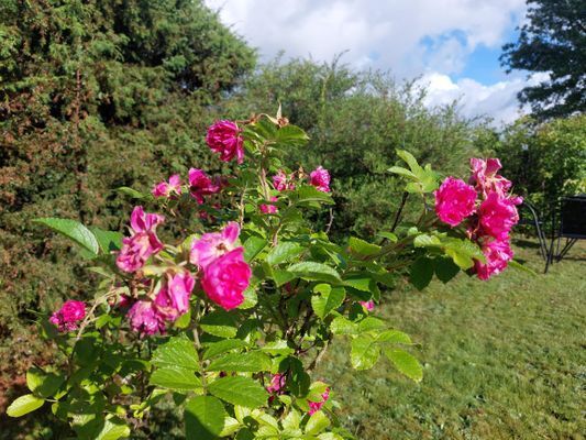 Lantligt semesterparadis för hela familjen - Bild 9