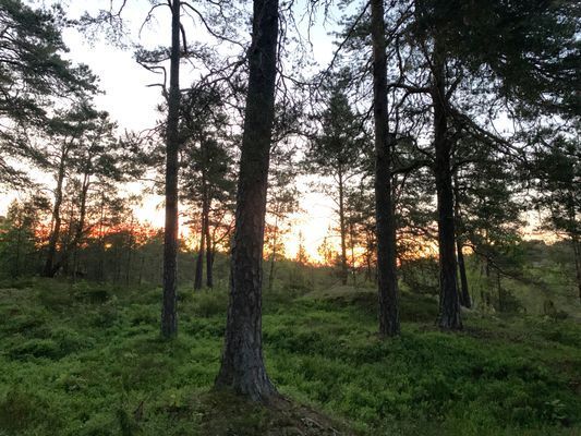 Utsikten Mörtnäs, Värmdö. Exklusivt, pool, utsikt - Bild 55