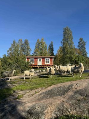 Mysig stuga i Docksta, Höga Kusten