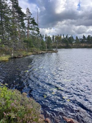 Lantlig pärla med bastu, spabad och naturnära läge - Bild 70