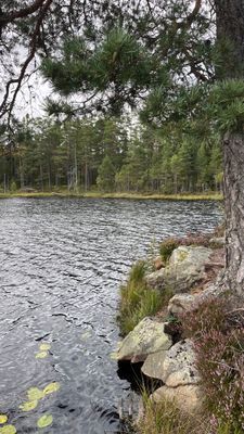 Lantlig pärla med bastu, spabad och naturnära läge - Bild 72