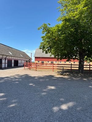 Bild 3 på Stort Underbart Hus på landet nära hav och vandrib