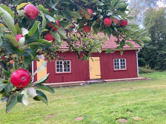 Den gamla smedjan bakom huset