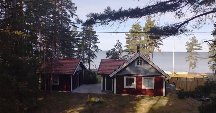 Vy från skogen