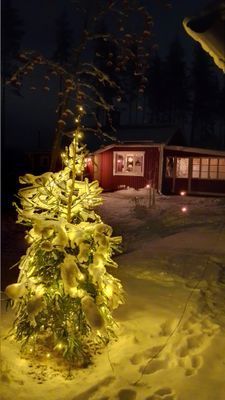 Allergivänlig stuga i skogen med nära till allt - Bild 20