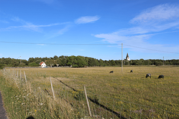 Bild 4 på 1800-tal vid lammen