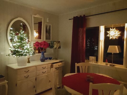 Allergivänlig stuga i skogen med nära till allt - Bild 21