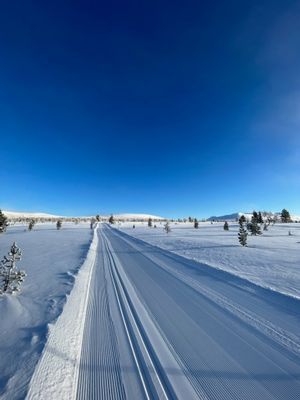 Bild 3 på Mysig stuga med bra läge i Lofsdalen