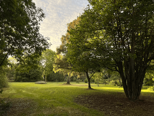 Stort kalkstenshus nära Herta strand Södra Gotland - Bild 37