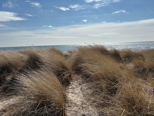 Stuga på stranden i Herta på Sydöstra Gotland - Bild 9