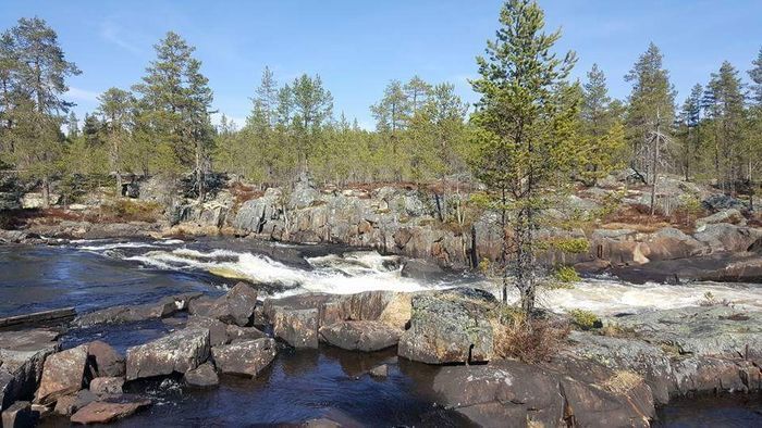 Hamra Stugby- Stuga Nr. 8 - Bild 20