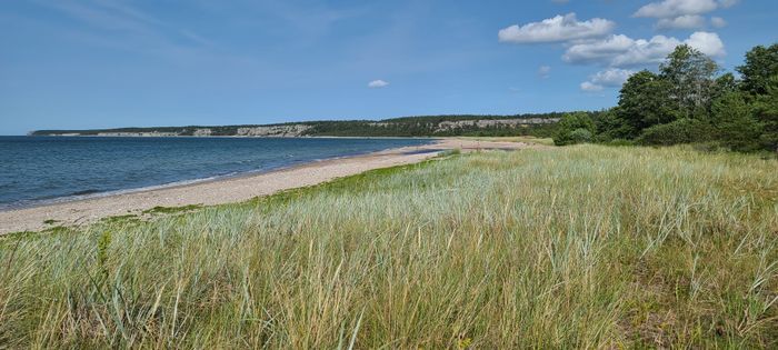 60-talets sköna sommarhem i Ireviken. - Bild 12