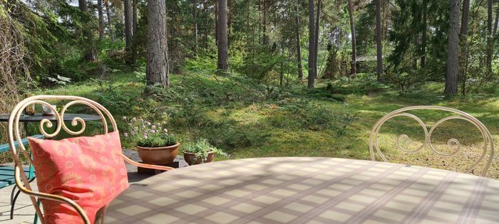 Hyr denna stuga i Ireviken på 60 m². 4 sängplatser. 7 000 - 9 000 kr per vecka. Se bilder och tillgänglighet här.