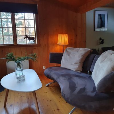 Finsk stuga - 'Ragnar' - vackert belägen! - Bild 20