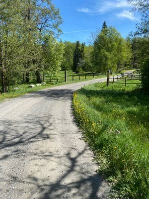 Stuga med ostört läge 250 m från havet - Bild 20