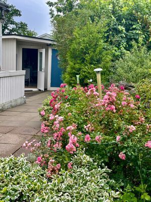 Härlig grönska mellan huset och badrummet,