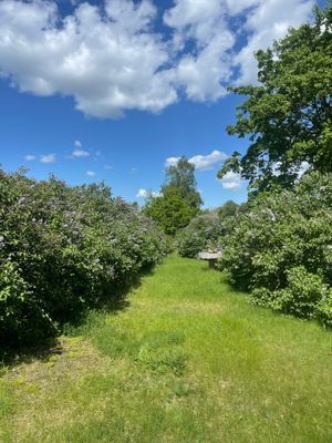 Ölandsidyll -privat gård i Runsten med historia - Bild 49