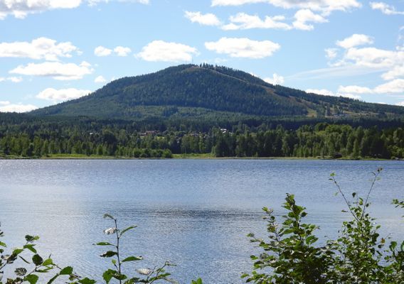 Mysig stuga på Sollerön nära Siljan, bad och Mora - Bild 12