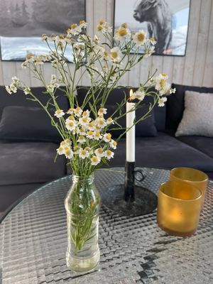 Nybyggt med perfekt ski-in ski-out i Lindvallen - Bild 8