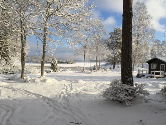 Tomten på Vintern