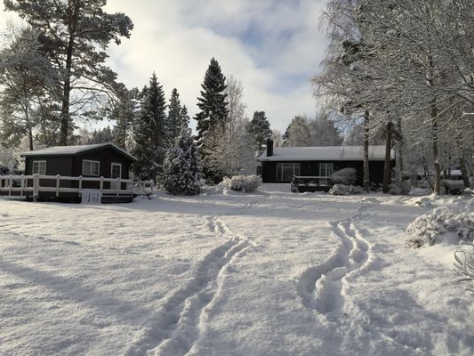 Tomten på vintern