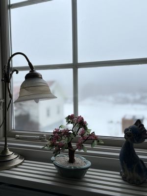 Uthyres stuga Hamburgö på Sveriges västkust - Bild 21