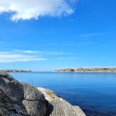 Fint hus nära havet i sommaridyll på Tjörn - Bild 37