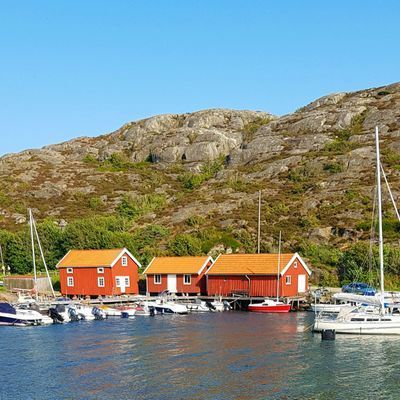Fint hus nära havet i sommaridyll på Tjörn - Bild 33