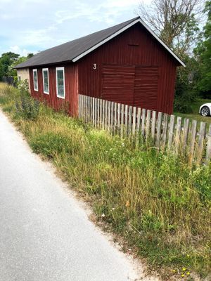 Sommar på norra Gotland – nära hav, bad och natur - Bild 9