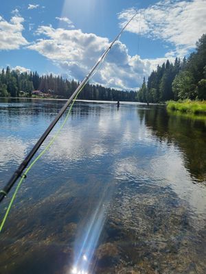 Mysigt fjällhus i Jämtland - Bild 33